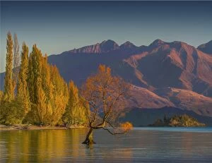 Images Dated 27th April 2016: Autumn colours at Lake Wanaka, south Island of New Zealand