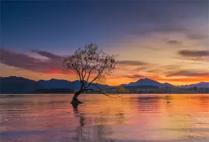 Autumn colours at Lake Wanaka, south Island of New Zealand