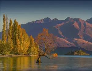 Autumn colours at Lake Wanaka, south Island of New Zealand
