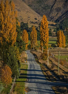 Images Dated 26th April 2014: Autumn colours near Wanaka, South Island, New Zealand