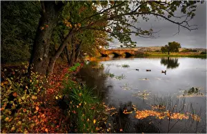 Images Dated 2010 April: Autumn colours at Ross, a lovely historic village in Central Tasmania