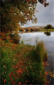 Images Dated 7th April 2010: Autumn colours at Ross, a lovely historic village in Central Tasmania