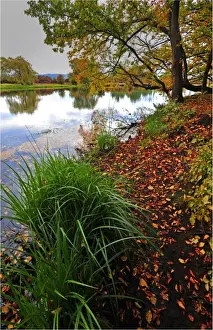 Images Dated 2010 April: Autumn colours at Ross, a lovely historic village in Central Tasmania