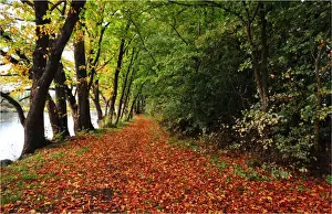Autumn colours at Ross, a lovely historic village in Central Tasmania