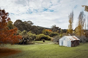 Images Dated 22nd May 2021: Autumn colours rural scenery - Western Australia