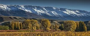 Images Dated 29th April 2014: Autumn in Cromwell, south island New Zealand