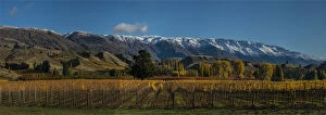 Images Dated 29th April 2014: Autumn in Cromwell, south island New Zealand