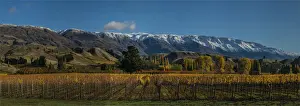 Images Dated 29th April 2014: Autumn in Cromwell, south island New Zealand