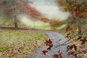 Autumn leaves