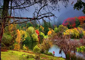 Photo Art Prints: Autumn mist