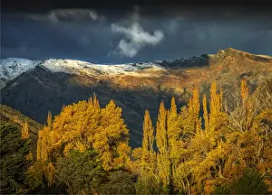 Images Dated 28th April 2014: Autumn near the Crown Range