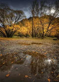 Water Form Prints: Autumn reflections in Arrowtown