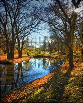 Images Dated 1st January 2012: Autumn reflections in the Malmsbury Gardens, Central Victoria