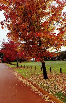 Images Dated 13th June 2016: Autumn Street