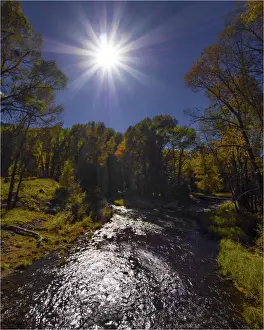 Autumn sunstar Grand Teton National Park, Wyoming, United States