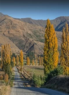 Images Dated 26th April 2014: Autumn in Wanaka