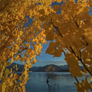 Images Dated 27th April 2016: Autumn at Wanaka lake, South Island of New Zealand