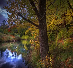 Autumnal colours along the Campaspe riverbank in the country town of Kyneton, Victoria Autumnal colours along the Campaspe riverbank in the country town of Kyneton, Victoria