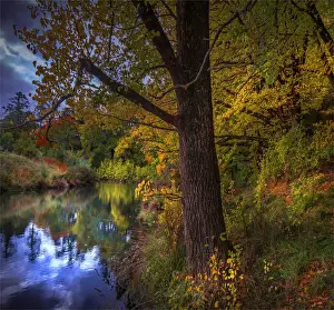 Autumnal colours along the Campaspe riverbank in the country town of Kyneton, Victoria