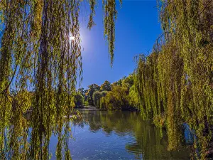 Autumnal seasonal colours in the country town of Castlemaine, Central Victoria, Australia