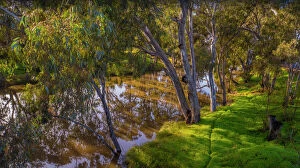 Images Dated 11th August 2022: Avoca river reflections, western Victoria in the town of Charlton, Australia