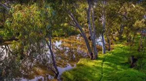 Avoca river reflections, western Victoria in the town of Charlton, Australia
