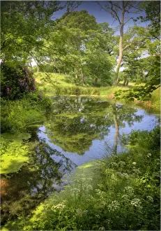 Flowing Water Prints: Backwater in the Arne Forest of Dorest, England
