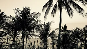 Bali Scene #1 Bali Scene #1