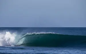 Mike Riley Prints: Empty barrel