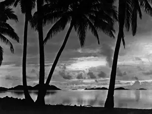 Barrier Reef
