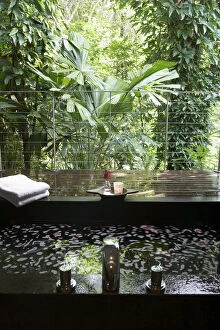 Images Dated 27th May 2014: Bath on wooden terrace overlooking rainforest
