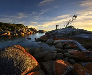 Bay of Fire