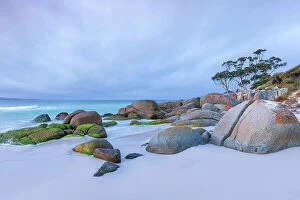 Images Dated 12th June 2023: Bay Of Fires Beach Tasmania Evening Scene