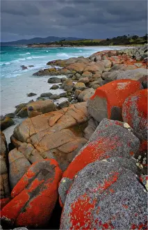 Bay Of Fires, Tasmania Prints: Bay of fires, east coastline of Tasmania, Australia