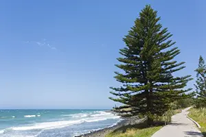 Beach Path Boardwalk
