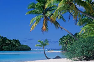 John W Banagan Collection: Beach, Trees, and Lagoon in Cook Islands, Polynesia