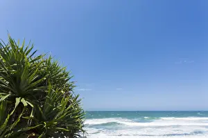 Mother Nature Prints: Beach View