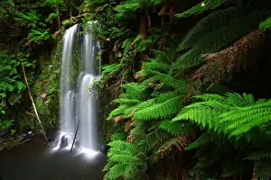 Yury Prokopenko Prints: Beauchamp Falls