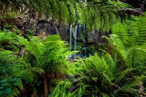 Images Dated 2nd March 2016: Beauchamp Falls, Great Otway National Park, Victoria