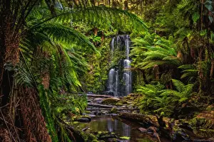 Images Dated 2nd March 2016: Beauchamp Falls, Great Otway National Park, Victoria