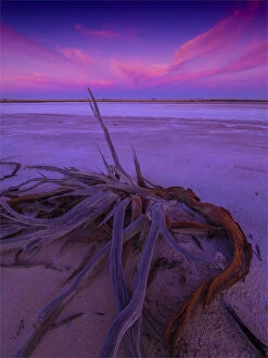 Images Dated 25th April 2021: Beautiful colours in the first light of dawn, Lake Tyrrell, near the town of SeaLake