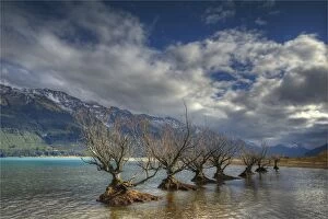 Images Dated 2nd May 2014: Beautiful lake Wakitipu, Otago, during the autumn season, south island, New Zealand