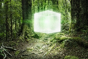 beauty in nature, bush, calm, color image, computer graphic, concept, copy space beauty in nature, bush, calm, color image, computer graphic, concept, copy space