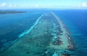 Great Barrier Reef Collection: Belize Barrier Reef