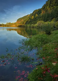 Oregon Us State Prints: Benson Lake, Columbia river Gorge, Oregon, United States
