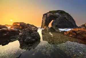 AtomicZen The Beauty Of Nature Prints: Bermagui, Horse head, rising sun