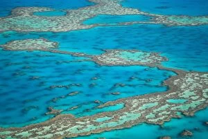 Great Barrier Reef Collection: The Big Reef, Whitsunday Islands, Australia