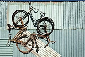 Images Dated 29th May 2015: Three bike artwork hanging from a tin shed