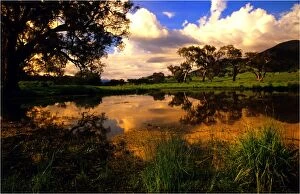 Images Dated 28th July 2013: A billabong near the Murray river at Corryong, Northern Victoria