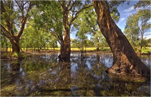 Images Dated 2011 February: A billabong at Yea, Central Victoria, Australia
